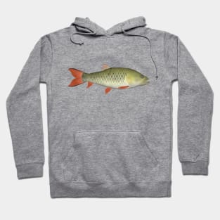 Hampla Barb Hoodie